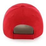 STL youth hat